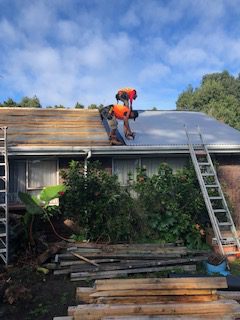 steel roofing experts Auckland